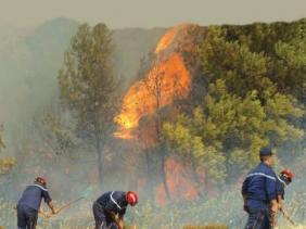 Forets Les Feux Ont Ravage Pres De 54 000 Hectares En 2017 Radio Algerienne